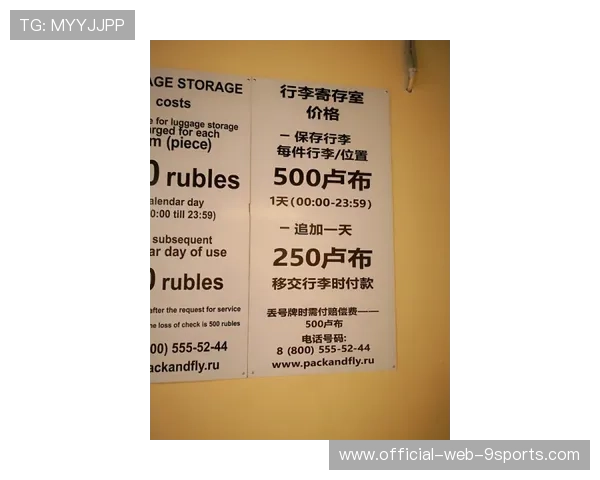 世界杯志愿者长期服务信用平台技术方案解析，世界志愿服务状况报告